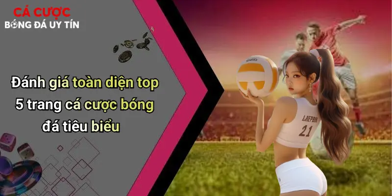 Đánh giá toàn diện top 5 trang cá cược bóng đá tiêu biểu