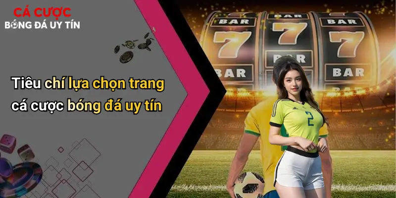 Tiêu chí lựa chọn trang cá cược bóng đá uy tín