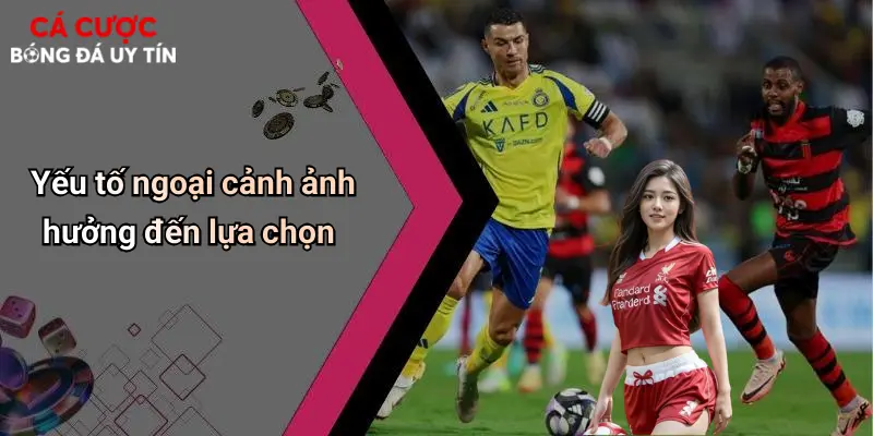 Yếu tố ngoại cảnh ảnh hưởng đến lựa chọn