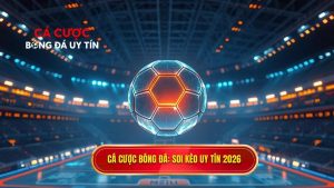 Top Website Soi Kèo Bóng Đá Uy Tín Nhất 2026: Lựa Chọn Vàng Cho Người Chơi