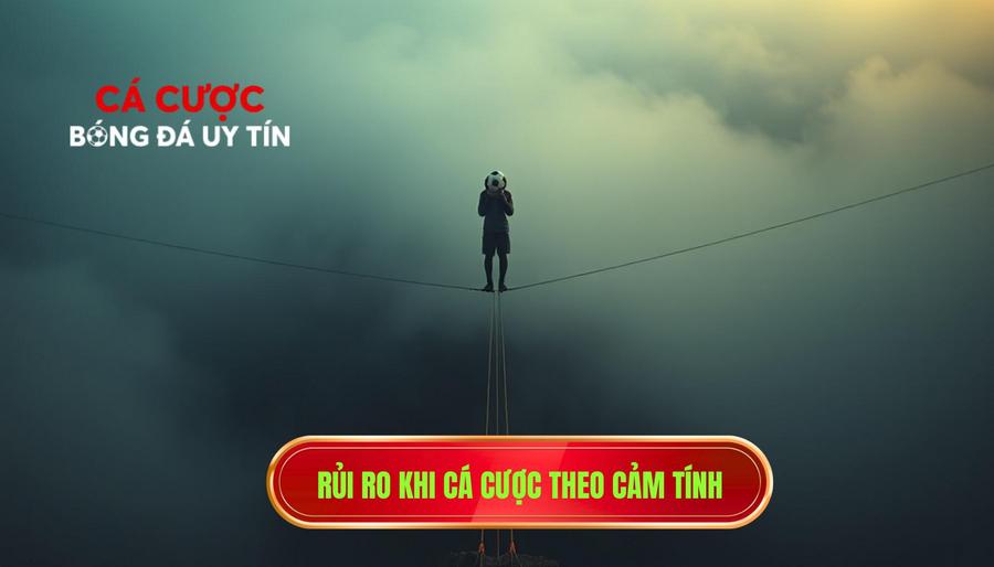 Rủi ro khi cá cược theo cảm tính