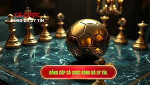 Kèo dễ ăn thường khó đoán: Bí quyết soi kèo từ CÁ CƯỢC BÓNG ĐÁ